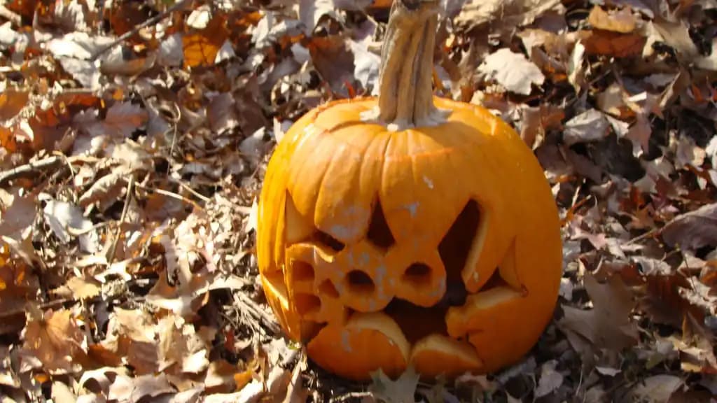 Halloween and Bonfire Night across the St Albans district: village by village
