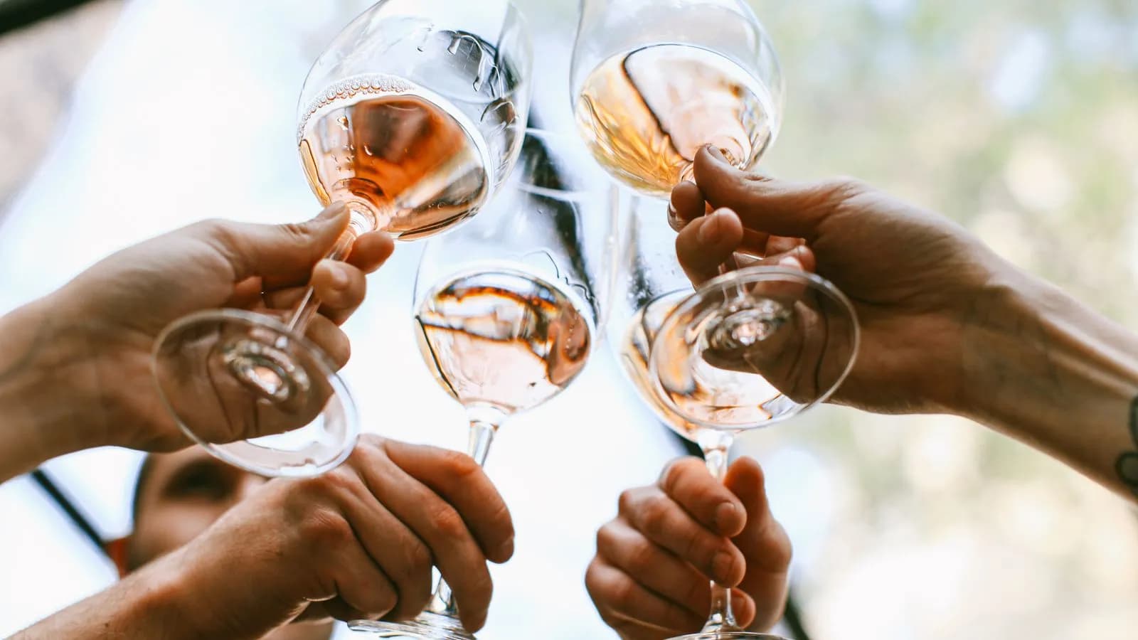 Wine & Cheese Evening - showcase