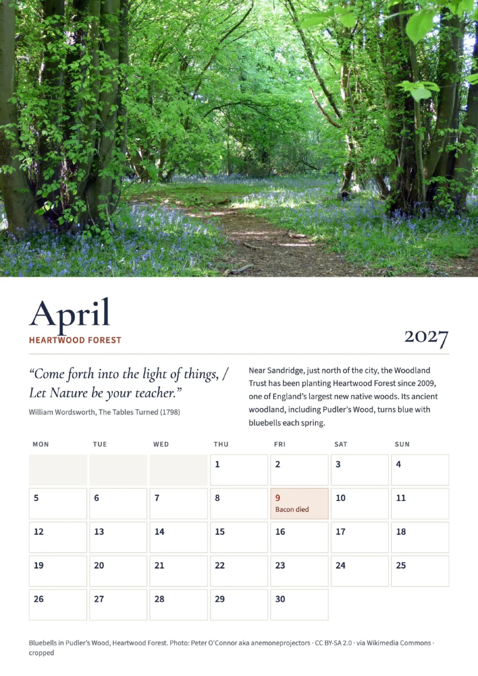 St Albans 2027 Calendar 5