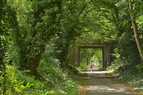 Alban Way