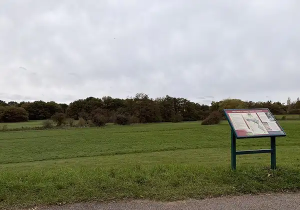 Colney Heath Common