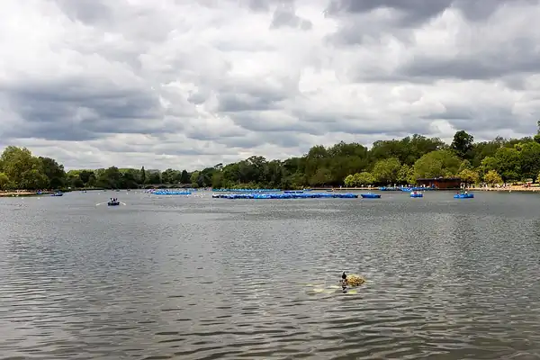 Hyde Park & Kensington Gardens