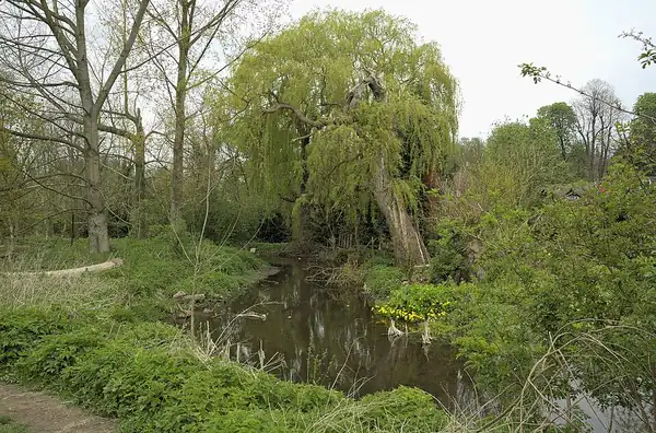 River Ver Walk