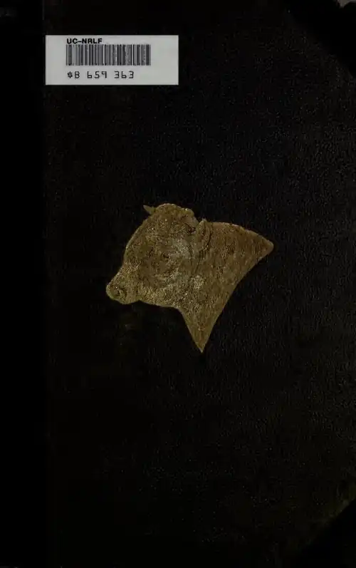 The Horn