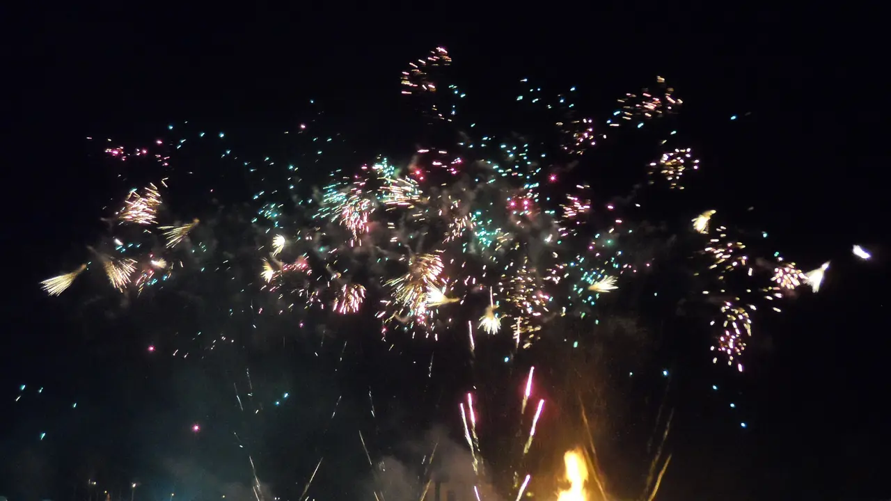 Fireworks lighting up the night sky